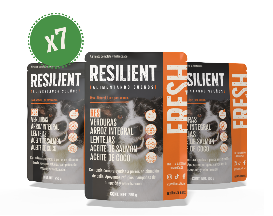 250g Resilient Fresh
