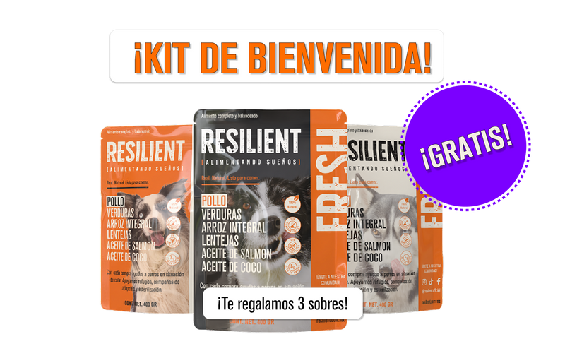 Kit de Bienvenida